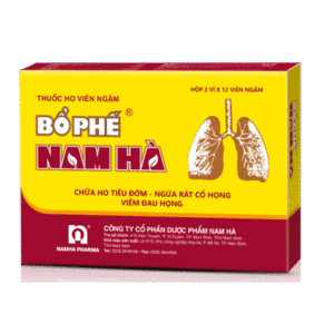 VIEN-NGAM-BO-PHE-NAM-HA